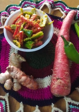 ગાજર મરચાં નું અથાણું (Gajar Marcha Athanu Recipe In Gujarati) રેસીપી મુખ્ય ફોટો