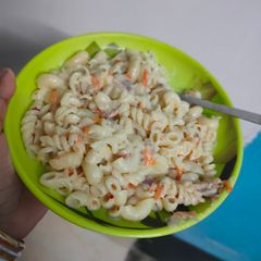 A picture of White Sauce Pasta.