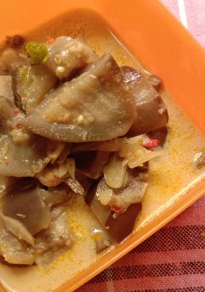 Foto resep Sayur santen 3t (terong+tempe+teri)