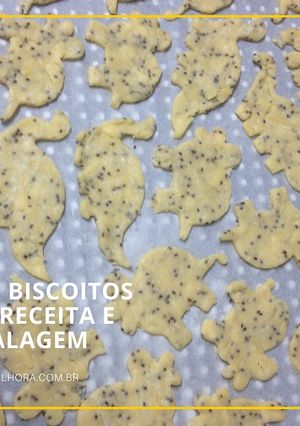 Foto de Dino Biscoito de queijo e chia