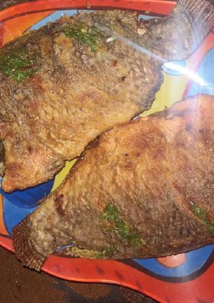 صورة لوصفة بلطي مقلي 🐟