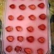 Puding susu strawberry