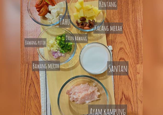 Cara Buat Menu mpasi ayam kampung santan Yang Sederhana