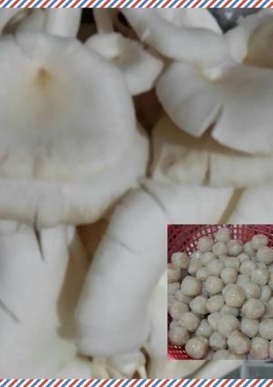 Foto resep Cilok jamur tiram ira 😄