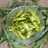 પરવળ નું શાક (Parvar Shak Recipe In Gujarati)