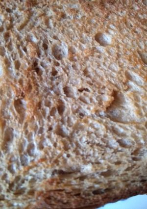 চীজ  টোস্ট (cheese toast recipe in Bengali) রেসিপির প্রধান ছবি