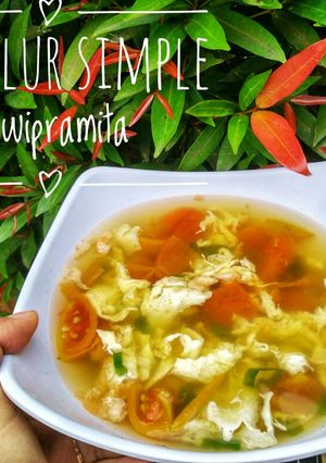 Foto resep Sup telur simple (mpasi 2th)