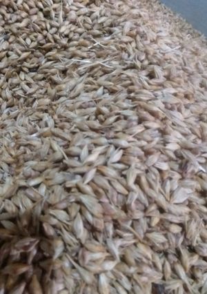 صورة لوصفة تحضير المرمز بالمنزل