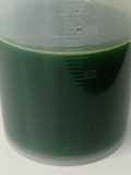 Air Pandan Suji