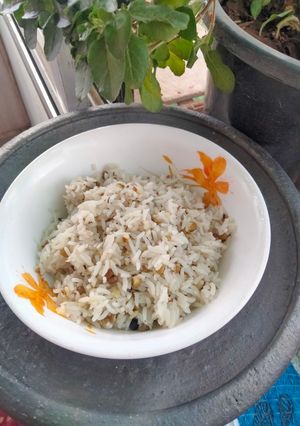 A picture of Adda hing khichidi.