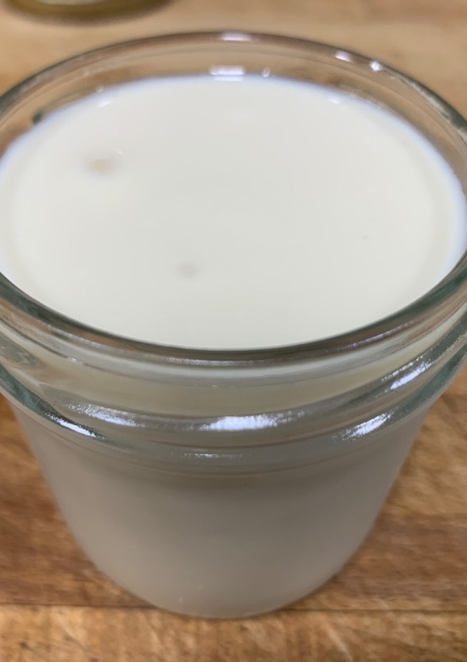 Una foto de Yogur de soja casero en panificadora Lidl