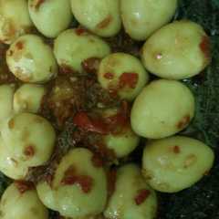 รูปของ Balado Telur Puyuh