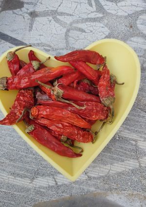 عکسی از دستور خشک کردن فلفل🌶️