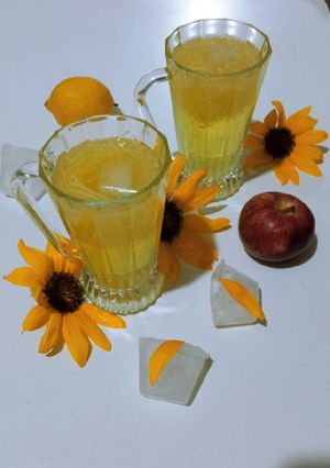 عکسی از دستور شربت سیب و گلاب