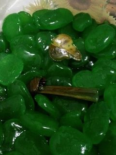 Foto resep Manisan kolang-kaling