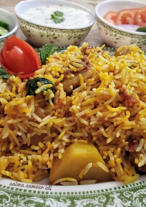 A picture of Balochi biryani.