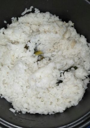 Foto resep Nasi Gurih (dengan menggunakan Magic Com)