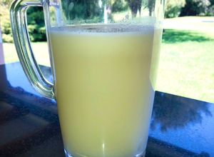 Una foto de Leche de semillas de melón 🍈