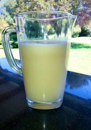 Una foto de Leche de semillas de melón 🍈