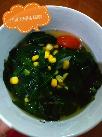 Cara Sederhana Membikin Resep  Sayur Bening Katuk yang Bikin Ngiler, Enak