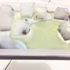 รูปของ Puding simple 4 bahan