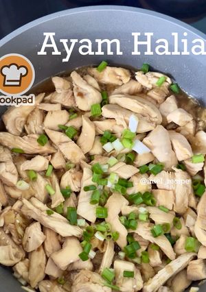 Gambar Ayam Halia