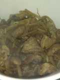 Germen de soya con res