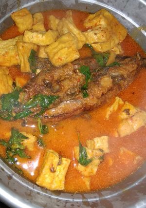 Foto resep 12. Gulai lele tahu kemangi