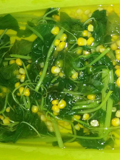 Foto resep Sayur bening bayam jagung