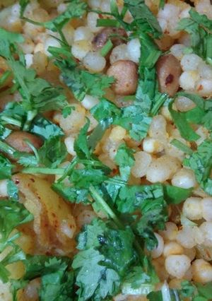 A picture of Vrat Sabudana Khichadi.