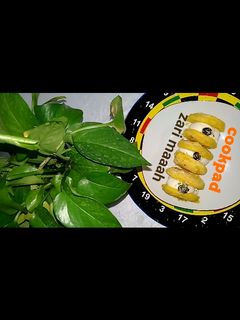 عکسی از دستور لطیفه