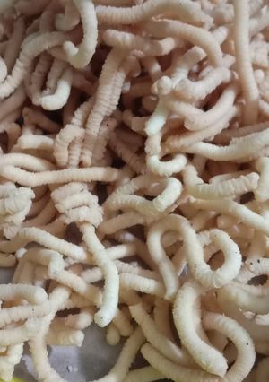 Foto resep Akar kelapa