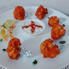 A picture of Gobi Lollipop.