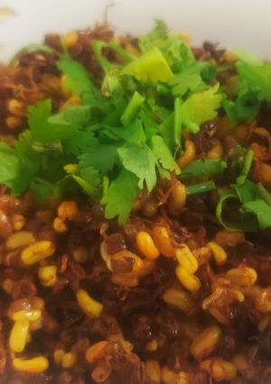 ફણગાવેલા સૂકા મઠ (Dry sprouted Mauth recipe in Gujarati ) રેસીપી મુખ્ય ફોટો