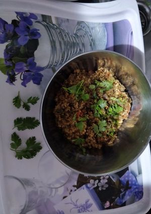A picture of Oats upma.