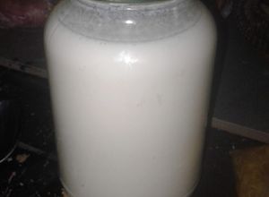 Una foto de Yogurt natural hecho en casa