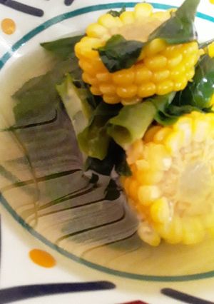 Foto resep Sayur bening katuk segeŕrr