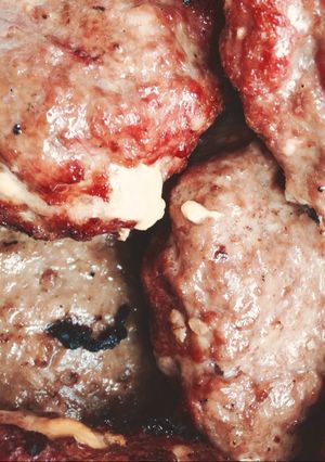 Una foto de Hamburguesas caseras con queso Cheddar
