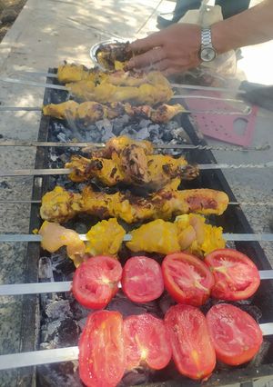 عکسی از دستور جوجه کباب