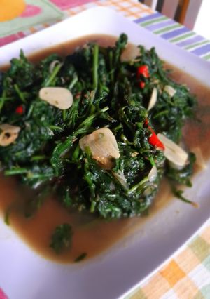 Foto resep Tumis Pakis