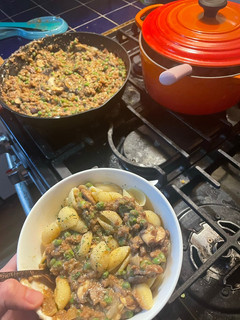 A picture of Vegetarian Stroganoff.