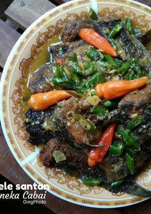 Foto resep Lele Santan Aneka Cabai