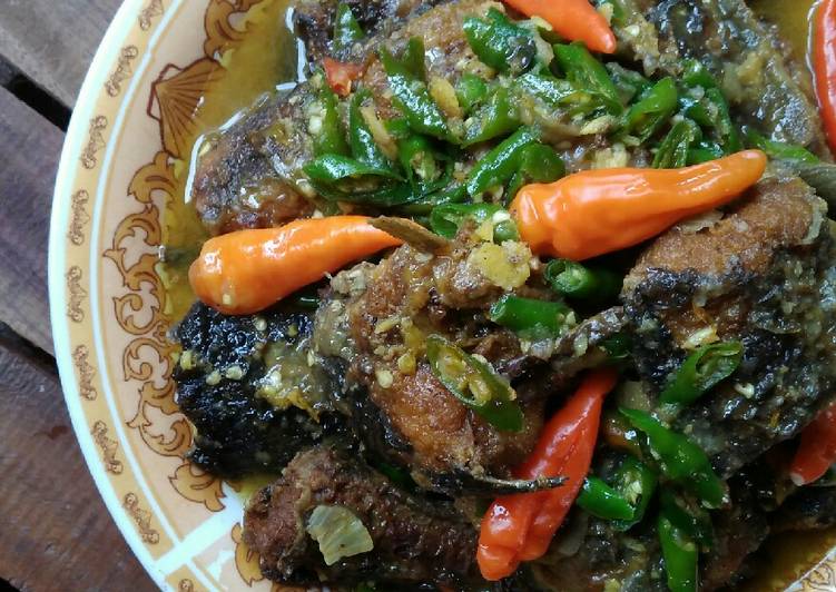 Resep Unik Lele Santan Aneka Cabai Enak Sederhana