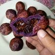 Bola-bola Ubi Ungu isi Coklat
