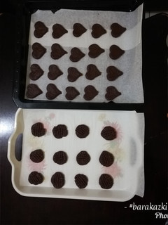 A picture of Chocolate cookies.
