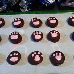 Una foto de Mini mamuts decorados express/ candy bar