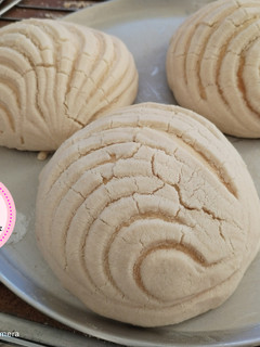 Una foto de Conchas