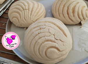 Una foto de Conchas