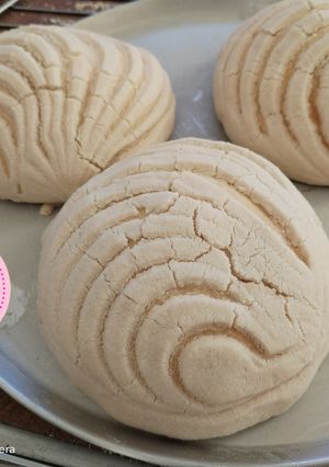 Una foto de Conchas