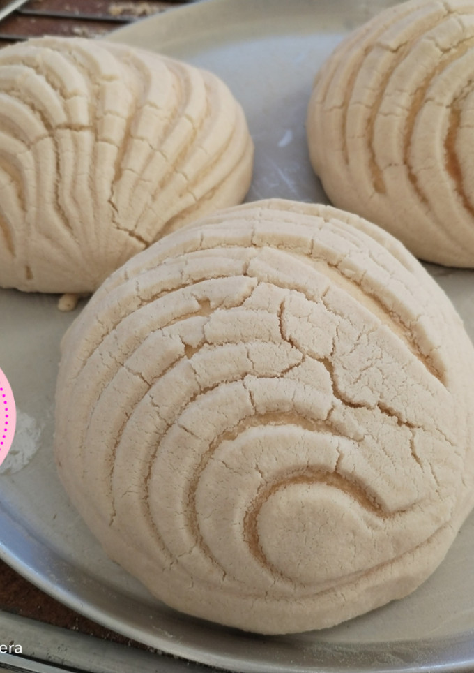 Una foto de Conchas